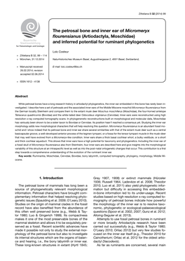 The Petrosal Bone and Inner Ear of Micromeryx Flourensianus (Artiodactyla, Moschidae) and Inferred Potential for Ruminant Phylogenetics