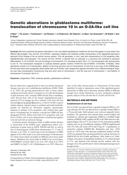 Translocation of Chromosome 10 in an O-2A-Like Cell Line