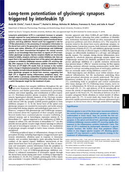 Long-Term Potentiation of Glycinergic Synapses Triggered by Interleukin 1Β