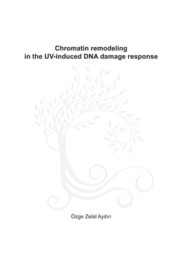 Chromatin Remodeling in the UV-Induced DNA Damage Response