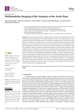 Multimodality Imaging of the Anatomy of the Aortic Root