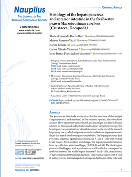 Histology of the Hepatopancreas and Anterior Intestine in the Freshwater Prawnmacrobrachium Carcinus