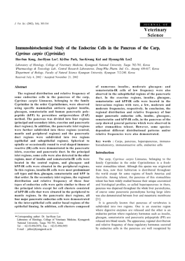 Immunohistochemical Study of The