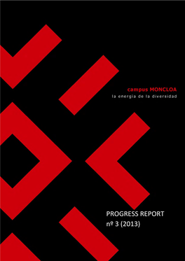 PROGRESS REPORT Period: 2010-2013