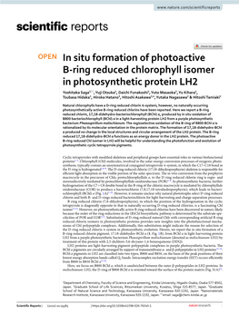 In Situ Formation of Photoactive B-Ring Reduced Chlorophyll Isomer In