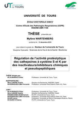 Régulation De L'activité Protéolytique Des Cathepsines À Cystéine S Et K