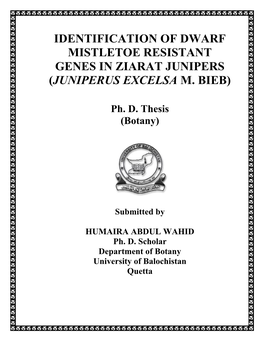 Identification of Dwarf Mistletoe Resistant Genes in Ziarat Junipers (Juniperus Excelsa M