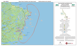 Cape Freels Coastline and Cabot Island NF025 Site: Newfoundland and Labrador Important Bird and Biodiversity Areas of Canada