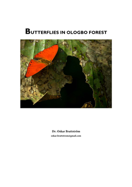 Butterflies in Ologbo Forest