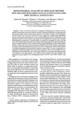 Mitochondrial Analysis of Gene Flow Between New Zealand Mallards (Anas Platyrhynchos) and Grey Ducks (A