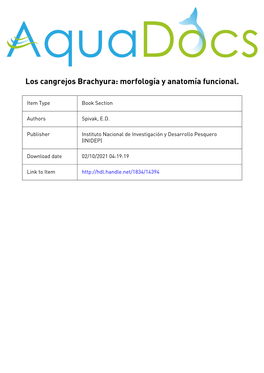 Los Cangrejos Brachyura: Morfología Y Anatomía Funcional