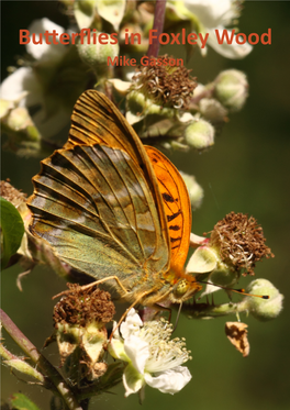 Butterflies in Foxley Wood Mike Gasson Butterflies in Foxley Wood Mike Gasson