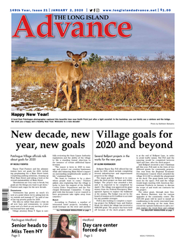 New Decade, New Year, New Goals Village Goals for 2020 and Beyond