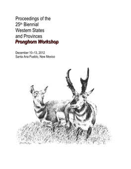 Pronghorn Workshop