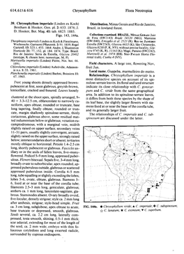 614,615&616 Chrysophyllum Flora Neotropica