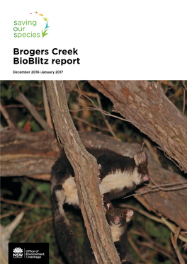 Brogers Creek Bioblitz Reportdownload