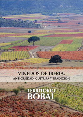 Viñedos De Iberia. Antigüedad, Cultura Y Tradición