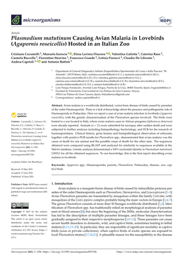 Plasmodium Matutinum Causing Avian Malaria in Lovebirds (Agapornis Roseicollis) Hosted in an Italian Zoo