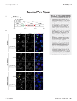 Expanded View Figures