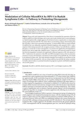 Modulation of Cellular Microrna by HIV-1 in Burkitt Lymphoma Cells—A Pathway to Promoting Oncogenesis