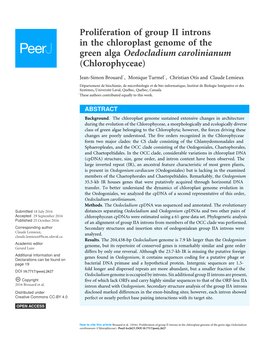 Proliferation of Group II Introns in the Chloroplast Genome of the Green Alga Oedocladium Carolinianum (Chlorophyceae)