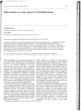 Observations on Some Genera of Trichothyriaceae