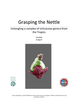Grasping the Nettle Untangling a Complex of Urticaceae Genera from the Tropics