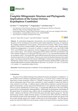 Complete Mitogenomic Structure and Phylogenetic Implications of the Genus Ostrinia (Lepidoptera: Crambidae)