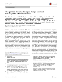 The Spectrum of Neuropathological Changes Associated with Congenital Zika Virus Infection