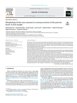 Morphology of the Vasa Vasorum in Coronary Arteries of the Porcine Heart