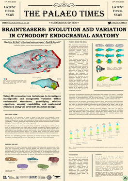 The Palaeo Times News