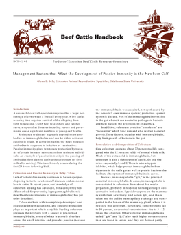 Management Factors That Affect the Development of Passive Immunity in the Newborn Calf