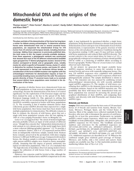 Mitochondrial DNA and the Origins of the Domestic Horse