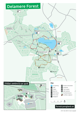 Walking Trails in Delamere Forest