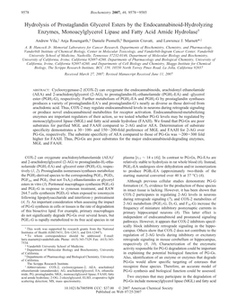 Hydrolysis of Prostaglandin Glycerol Esters by the Endocannabinoid