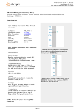 GNAI1 Antibody (Monoclonal) (M01) Mouse Monoclonal Antibody Raised Against a Full Length Recombinant GNAI1