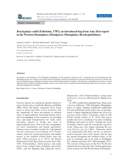 Brachyplatys Vahlii (Fabricius, 1787), an Introduced Bug from Asia: First Report in the Western Hemisphere (Hemiptera: Plataspidae: Brachyplatidinae)