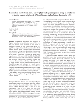 Geosmithia Morbida Sp. Nov., a New Phytopathogenic Species Living in Symbiosis with the Walnut Twig Beetle (Pityophthorus Juglandis)Onjuglans in USA