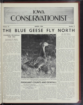The Blue Geese Fly North