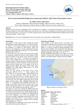 First Record of Marbled Shrimp Saron Marmoratus (Olivier, 1811) from Syrian Marine Waters