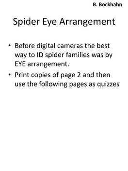 Spider Eye Arrangement