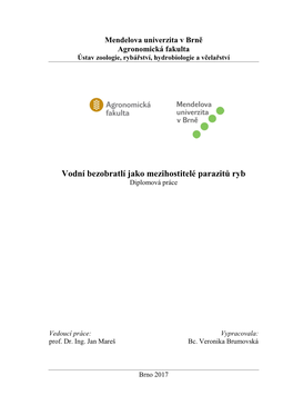 Vodní Bezobratlí Jako Mezihostitelé Parazitů Ryb Diplomová Práce