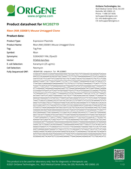 Rbsn (NM 030081) Mouse Untagged Clone – MC202719 | Origene