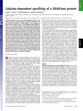 Cofactor-Dependent Specificity of a DEAD-Box Protein