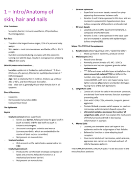 Intro/Anatomy of Skin, Hair and Nails