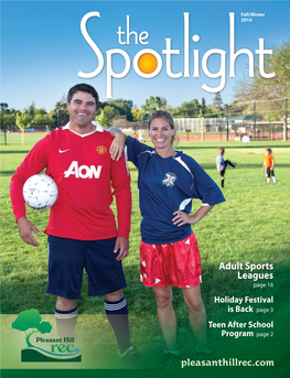 Adult Sports Leagues