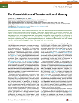 The Consolidation and Transformation of Memory