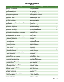 Herbarium Scientific Name Minnesota DNR Common Name Status Ambrosia Artemisiifolia Common Ragweed Amorpha Canescens Leadplant An