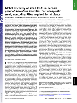 Global Discovery of Small Rnas in Yersinia Pseudotuberculosis Identi