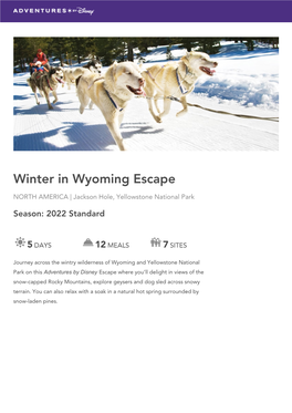 WINTER in WYOMING ESCAPE North America | Jackson Hole, Yellowstone National Park